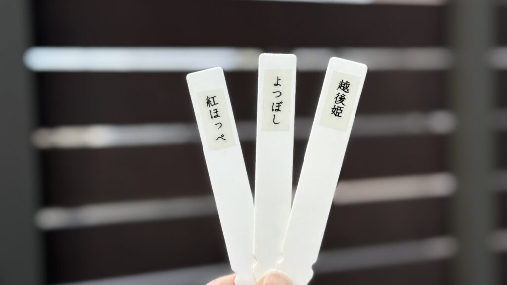 紅ほっぺ・よつぼし・越後姫の名前を印字した白いネームタグを手に持って並べたところ